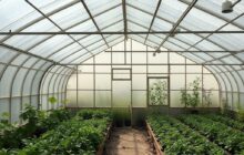 Пленка для теплиц: как выбрать, установить и продлить срок службы