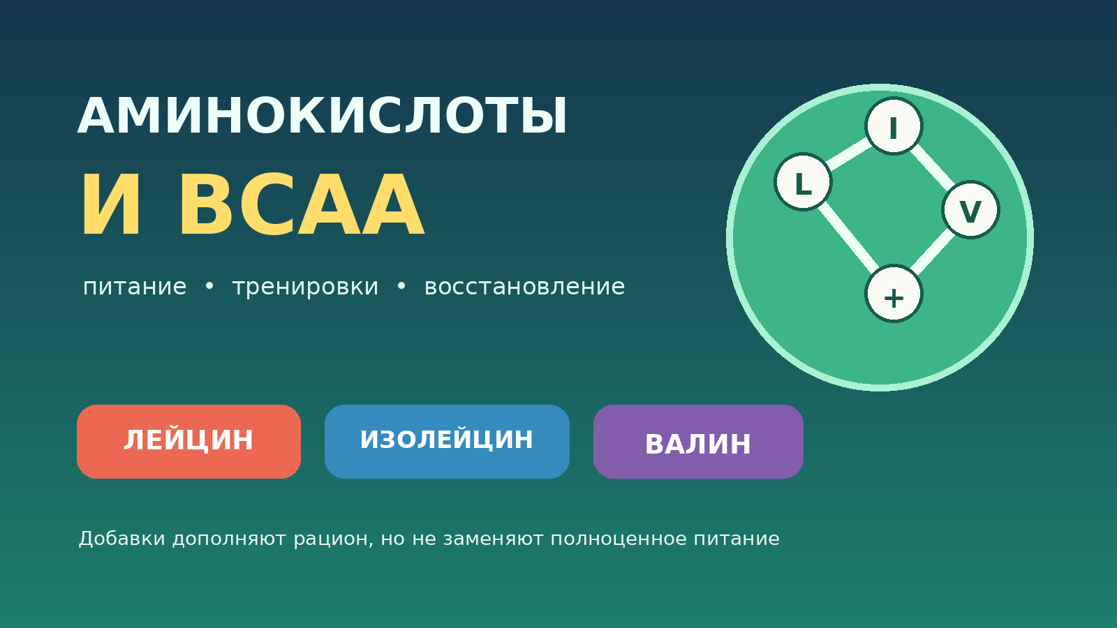 Аминокислоты и BCAA: роль в питании, выбор и применение при тренировках