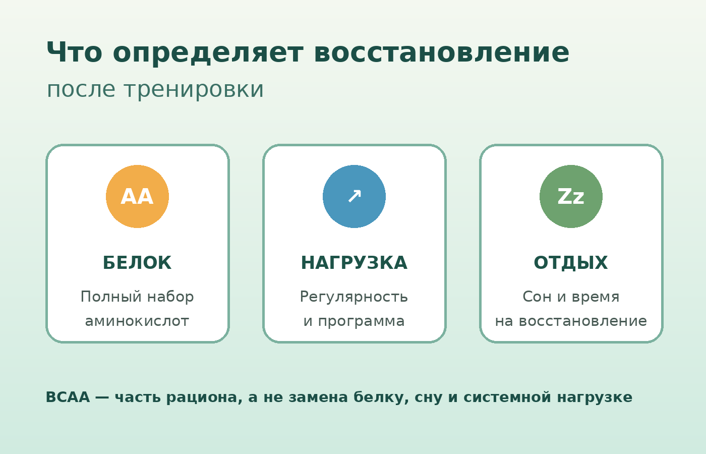 Аминокислоты и BCAA: роль в питании, выбор и применение при тренировках